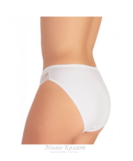 Jadea intimo 529